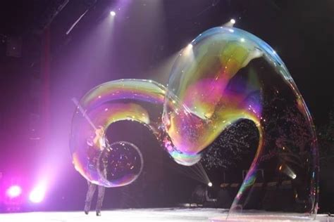 Tampa's Magical Bubbles: A Spectacular Show
